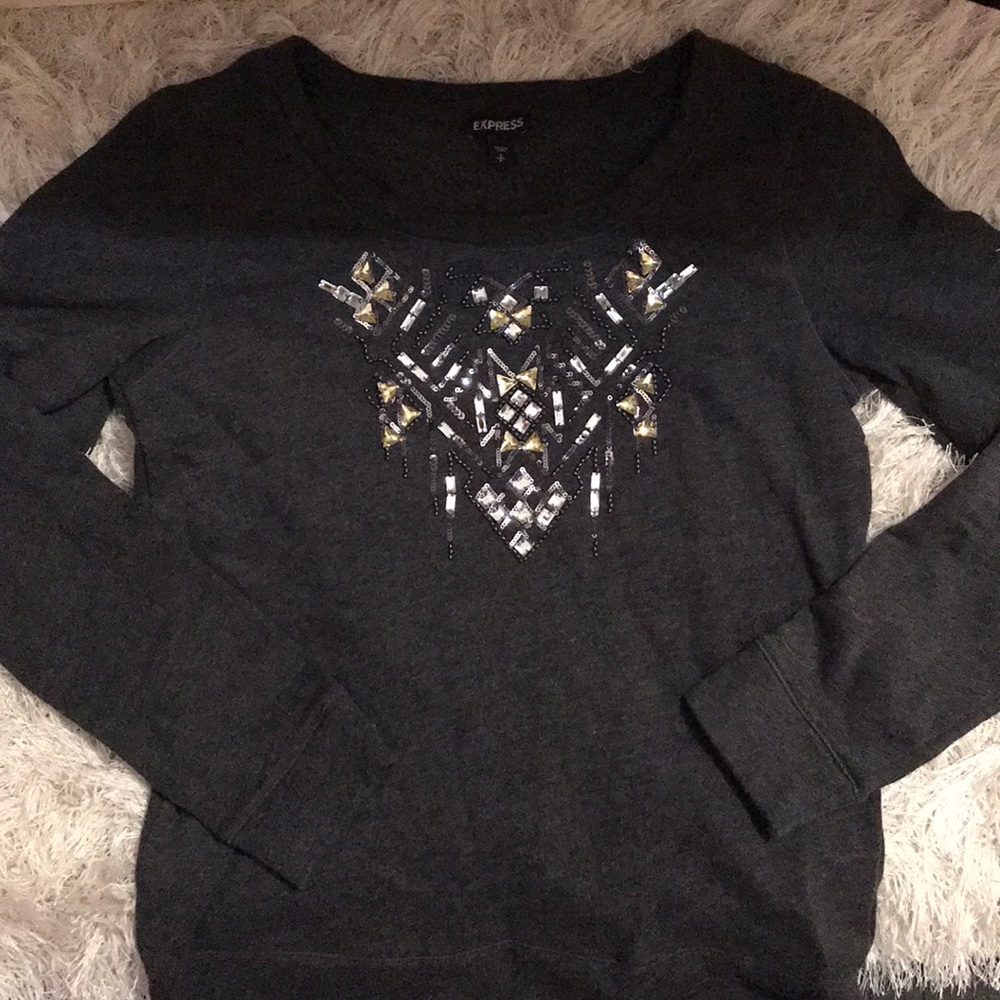Express light weight sweater